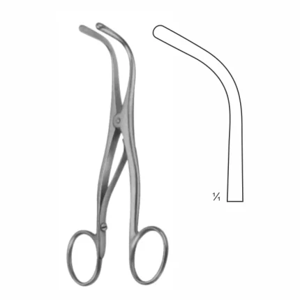 Tracheal Dilators