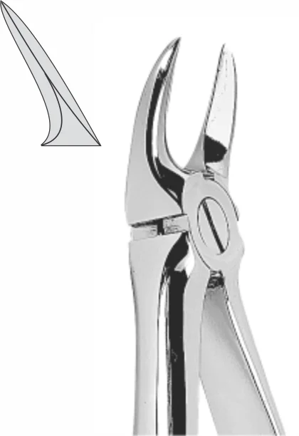 EXTRACTION FOCEPS STANDARD ENGLISH PATTERN