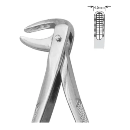 EXTRACTION FOCEPS STANDARD ENGLISH PATTERN