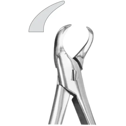 EXTRACTION FOCEPS STANDARD ENGLISH PATTERN