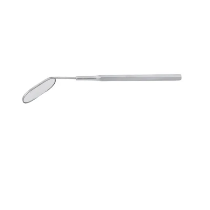 Eyelash Tweezer & Scaler