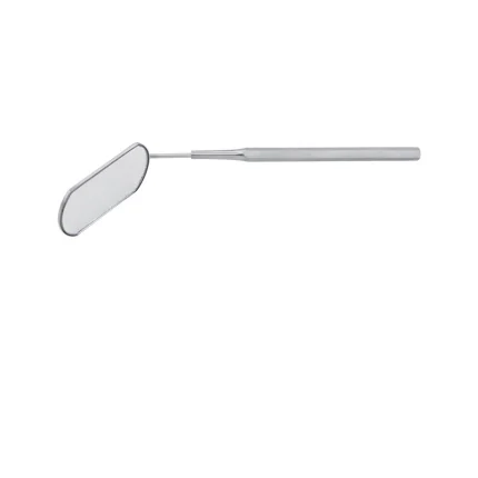 Eyelash Tweezer & Scaler