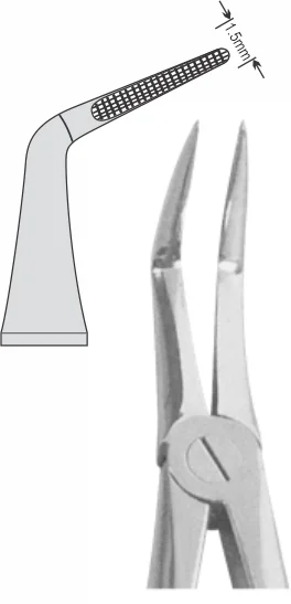 EXTRACTION FOCEPS STANDARD ENGLISH PATTERN