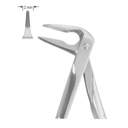 EXTRACTION FOCEPS STANDARD ENGLISH PATTERN